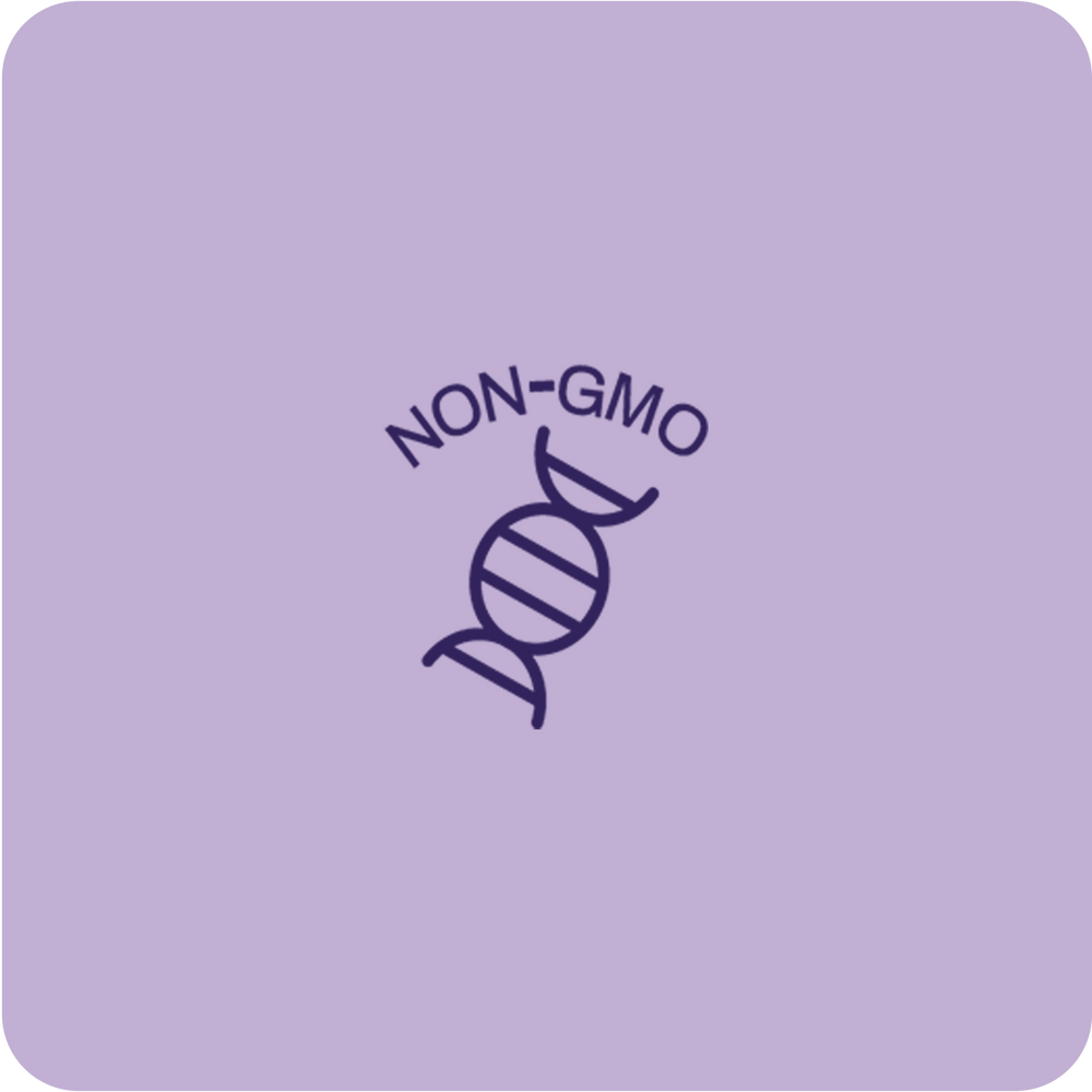 NOUEL